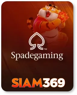 slot (8)